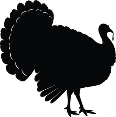 turkey Silhouette Vector Set – Turkey Icon for Thanksgiving on White Background
