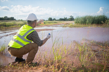 An environmental engineer examines water samples from a natural to identify organisms in ecosystem