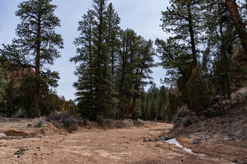  Intermittent, temporary or seasonal rivers or streams. Red Canyon Arch, Panguitch, Garfield...