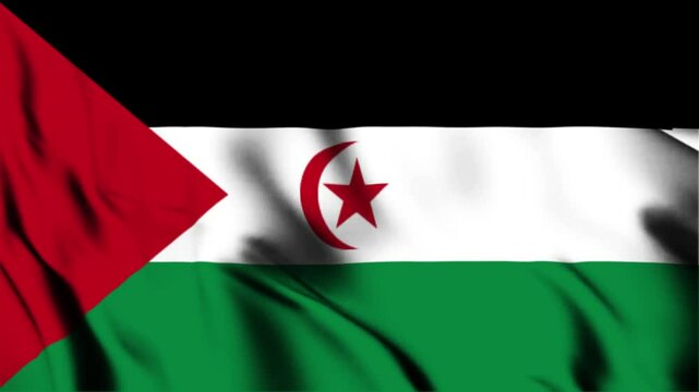 Flag of the Sahrawi Arab Democratic Republic. Flag fluttering in the wind. Full screen looping animation