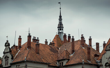 Tiled roof and old building with many chimneys, dormers and a small tower with a spire.