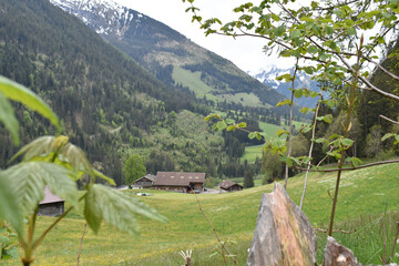 Großer Bauernhof zwischen Berghängen, Wäldern und Almwiesen mit Blick auf die Alpen