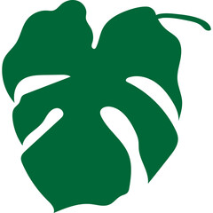 Tropical Monstera Leaf