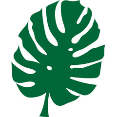 Tropical Monstera Leaf