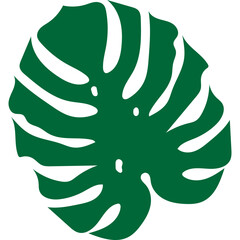 Tropical Monstera Leaf