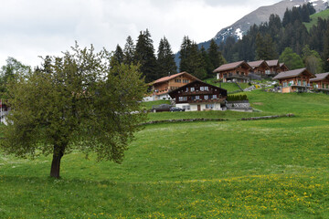 Typisch Schweizer Chalets auf der Gsässweid, Springenboden im Diemtigtal