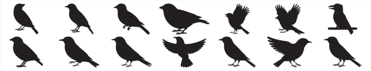 Obraz premium Black bird silhouettes in various poses, a versatile collection of 16 vector bird icons for nature, wildlife, and environmental designs, EPS format.