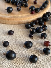 blueberries on wooden background Scattered blackcurrants on wooden board and linen cloth