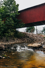 Southern Illinois Nature

