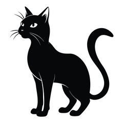 Elegant Silhouette of a Black Cat in a Standing Position With a Curved Tail and Whiskers Gracefully Displayed