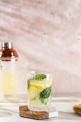 lemonade with lemon and mint