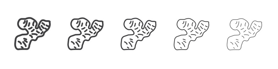 Obraz premium ginger icon outline ilustration vector symbol