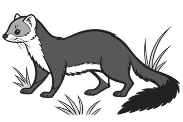 Cartoon Ermine Striding Across Grassy Patch Detailed Vector Artwork Wildlife Illustration Nature Depiction Animal Kingdom Fauna Exploration Small Predator