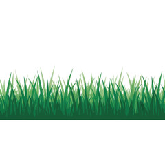 Fototapeta premium Vibrant Green Grass Border Illustration Nature, Spring, and Freshness