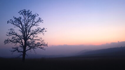 Silhouette of a leafless tree at sunrise over misty hills