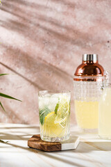 lemonade with lemon and mint