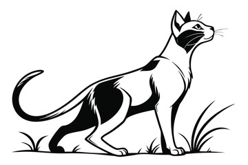 Elegant Black and White Cat Illustration Standing in Grass Observing Something in the Distance with an Alert Expression