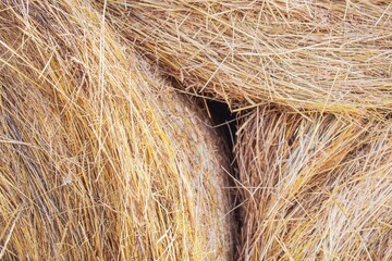 Straw bale texture background. Close-up of a hay bale. Stacks of hay stacked in a field.
