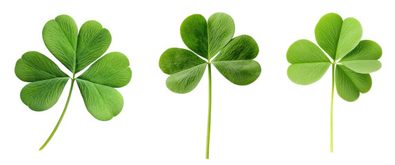 Three distinct clover leaves on a black background