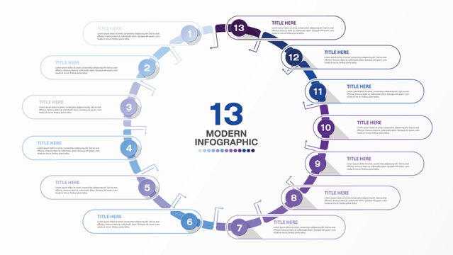 Basic infographic design 13 options or steps. 