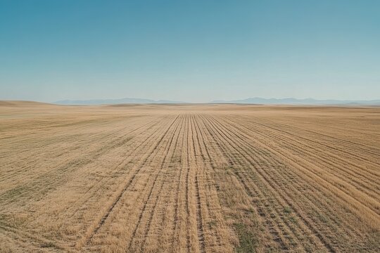Vast, golden field stretches to a hazy mountain range.  Arid,  horizontal furrows
