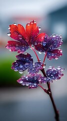 Vibrant autumn leaves with water droplets (1)