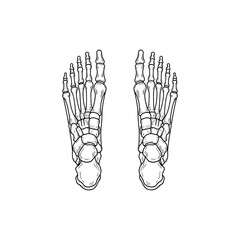 Naklejka premium Outlined black line icon of foot bones from top view showing tarsals and metatarsals