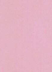 Fototapeta premium Pastel Pink Textured Background for Design and Branding Projects