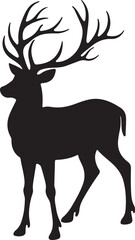 Running & Rearing Horse Bundle