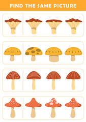 Find the same pictures worksheet for kids. Worksheet for kids kindergarten, preschool and school age. Education game for children with cute mushroom illustration.
