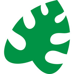 Tropical Monstera Leaf