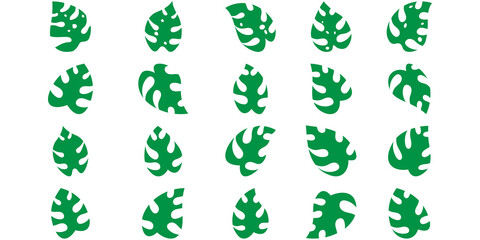 Tropical Monstera Leaf