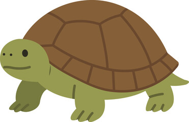 귀여운 거북이의 일러스트