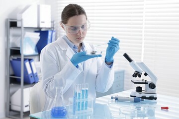 Scientist working with sample in Petri dish at table in laboratory