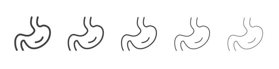 Stomach icon outline ilustration vector symbol