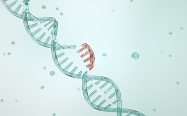 Gain-of-function research. A section of DNA is breaking apart. The concept of genome editing....