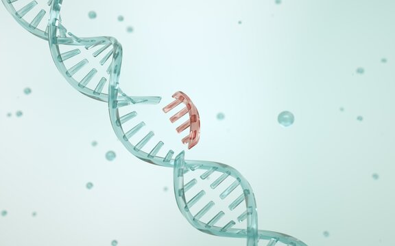 Gain-of-function research. A section of DNA is breaking apart. The concept of genome editing. Innovative methods to treat genetic diseases. Genetic medicine