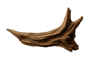 Driftwood with intricate textures and warm brown tones isolated on a transparent background, ideal for nature-themed designs