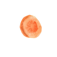 Round piece of carrot, circle slice watercolor hand drawn on white. Ingredient in cooking, harvest, healthy eating. For the menu, vegetable stalls, shops