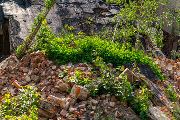 Pile of bricks and rubble from a collapsed wall, partially overgrown with greenery. A scene showing the contrast between destruction and nature reclaiming the space