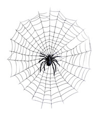 Obraz premium Spider on web with detailed stretched web texture isolated on transparent background, showing intricate design and natural pattern, creating spooky and mysterious atmosp
