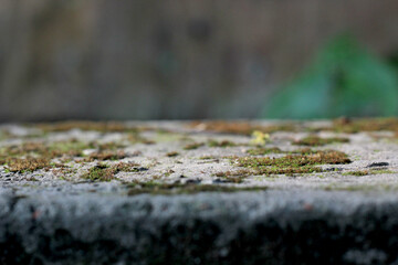 A flat piece of Concrete walls storing products and a blurred background behind it