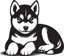 Siberian Husky Dog Vector Illustration in Black and White 