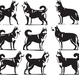 Siberian Husky Dog Vector Illustration in Black and White 