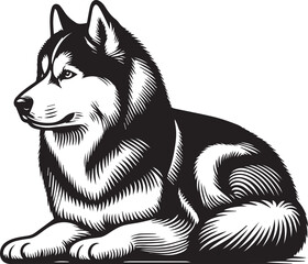 Siberian Husky Dog Vector Illustration in Black and White 