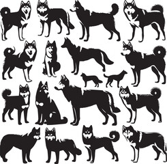 Siberian Husky Dog Vector Illustration in Black and White 