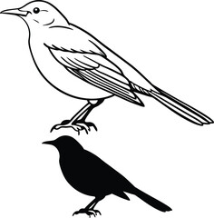 Songbird Nightingale Silhouette Vector Illustration  
