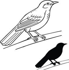 Nightingale with Open Beak Vector Illustration  
