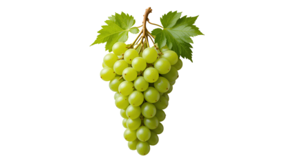 Green Grape Bunch Isolated on Transparent Background – Fresh Fruit for Healthy Eating and Juicing