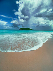 tropical beach with palm trees